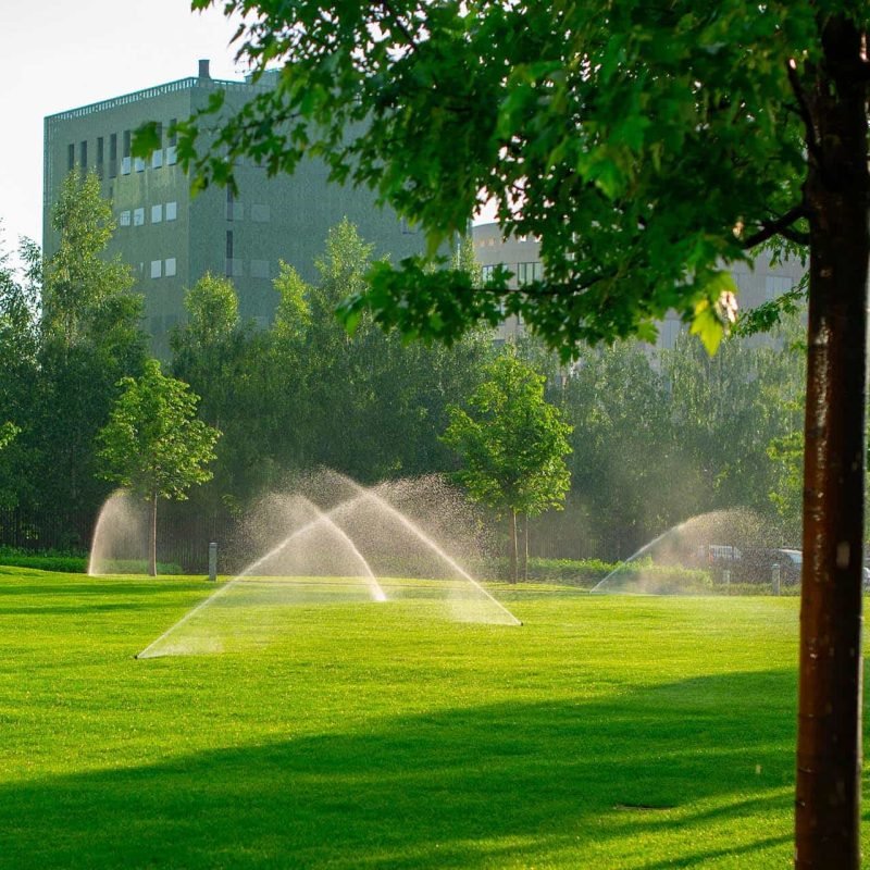 lawn-with-automatic-watering-system-2025-02-21-16-10-27-utc-min