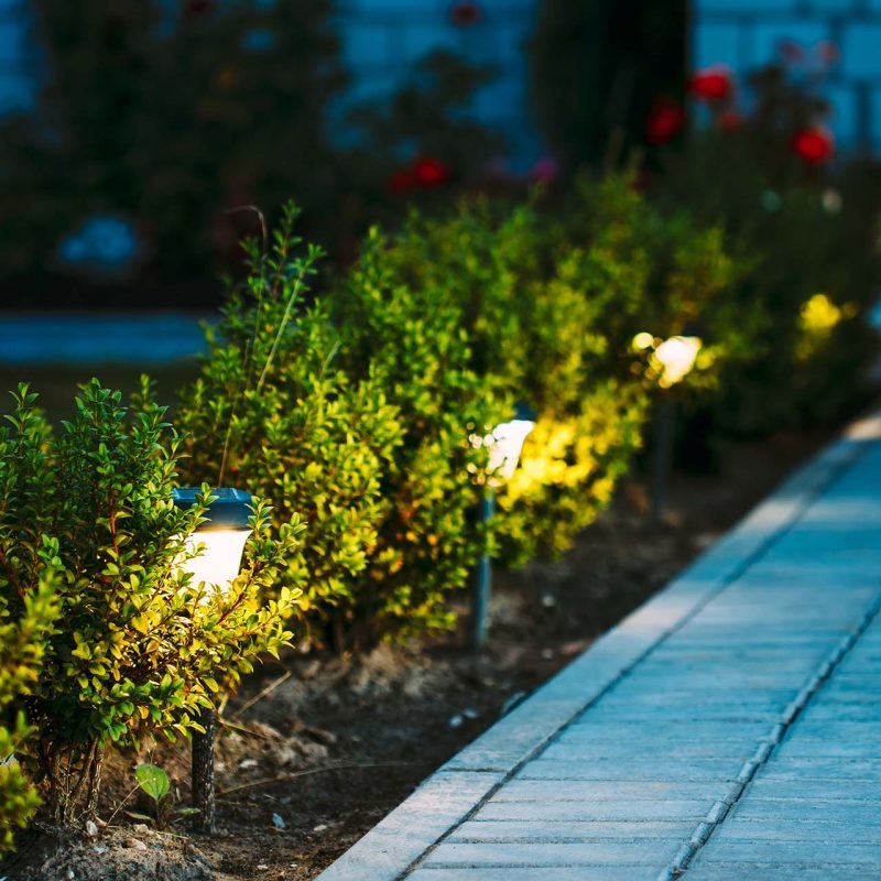 Night View Of Flowerbed With Flowers Illuminated By Energy-Saving Solar Powered Lanterns Along Path Causeway On Courtyard Going To The House